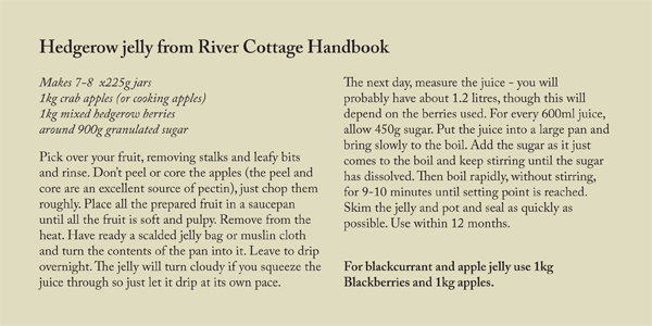 Hedgerow jelly