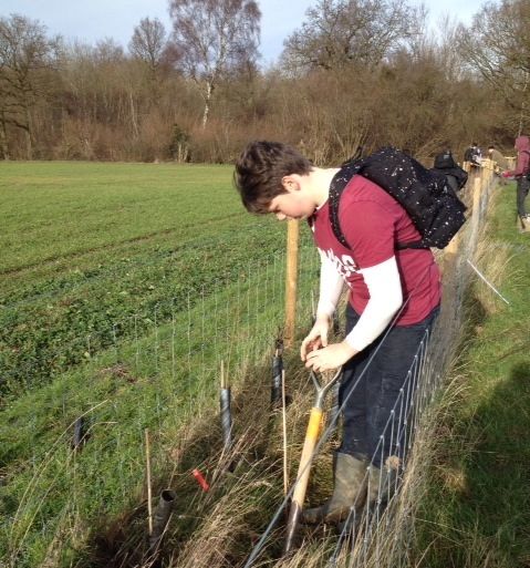 SWT Planting Bradfield Woods