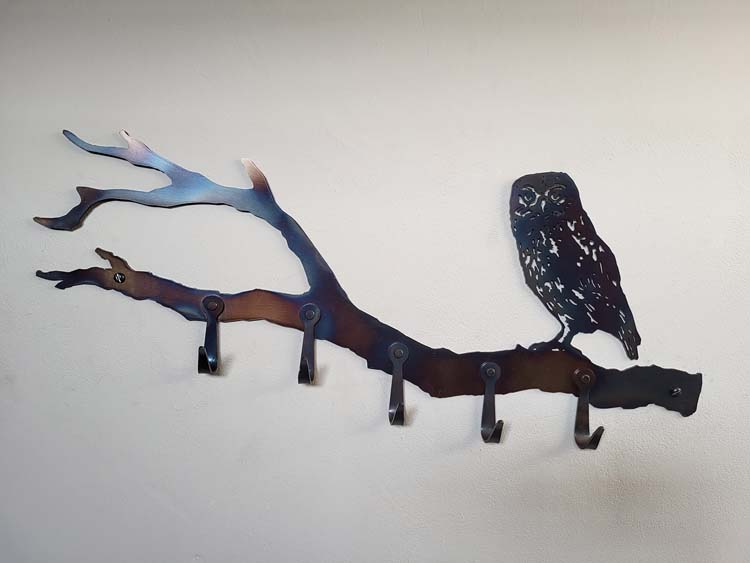 Little Owl on Branch